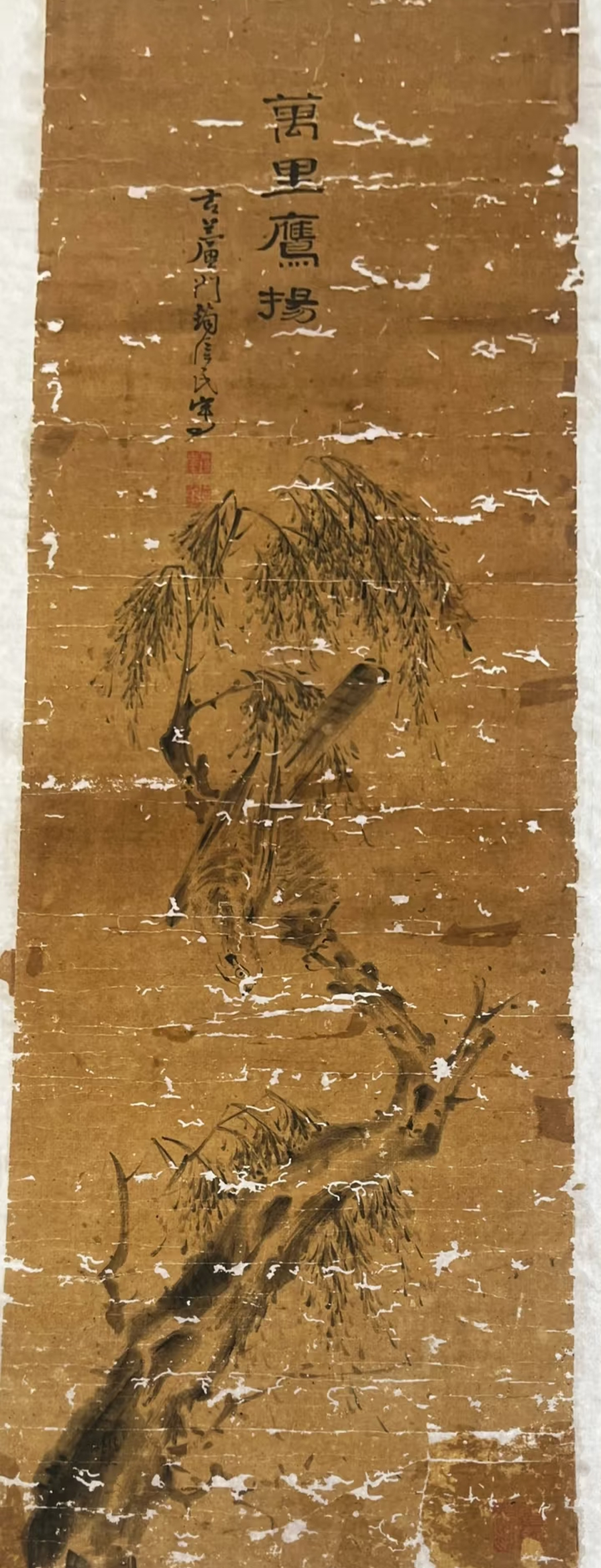 破損した古画「萬里鷹揚」